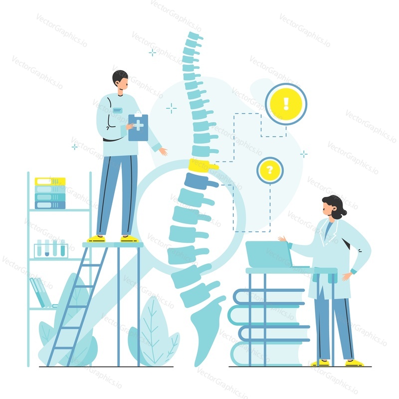 Doctor osteopath, male and female characters examining human spine skeleton, flat vector illustration. Osteopathy, chiropractic. Manual therapy.