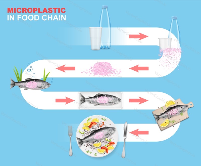Микропластик в векторной инфографике пищевой цепочки. Морская среда. Жизненный цикл пластиковых отходов, превращение в микропластик и воздействие на морских животных и морепродукты, которые мы едим.