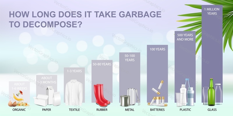 Сколько времени требуется мусору, чтобы разложиться в окружающей среде, векторная инфографика. График разложения отходов. Экология. Глобальные экологические проблемы.