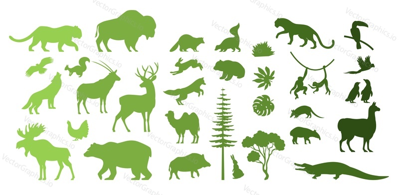 Силуэты диких животных Северной, Южной Америки и Евразии, векторная иллюстрация. Фауна и флора. Лес, тропические экзотические птицы и животные. Спасайте природу и открывайте для себя дикую природу. Зоопарк, зоология, география.