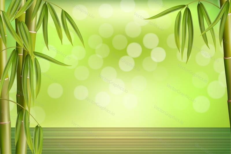 Зеленая бамбуковая роща, векторная иллюстрация. Бамбуковый спа-фон, обои для рабочего стола. Рекламный шаблон спа-массажа азиатской восточной красоты.
