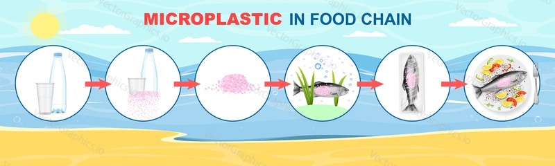 Микропластик в векторной инфографике пищевой цепочки. Океанская вода, загрязнение морской рыбы микропластиком, вредное воздействие на здоровье человека. Схема жизненного цикла пластиковых отходов.