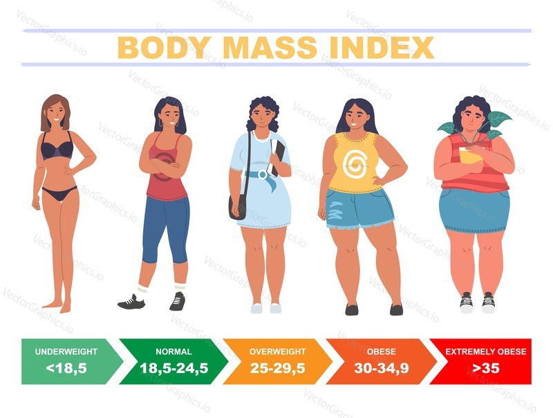 Индекс массы тела для женщин, плоская векторная иллюстрация. Таблица индекса массы тела, включающая диапазоны экстремального ожирения, тучности с избыточным весом, нормального и недостаточного веса. Метод измерения жировых отложений, инструмент.
