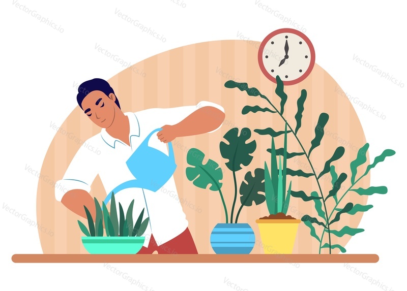 Мужчина поливает комнатные растения лейкой, плоская векторная иллюстрация. Работа по дому, домашние хлопоты, ведение домашнего хозяйства, хобби.