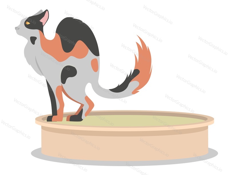 Cat pooping into litter box toilet with sand vector icon. Pet tray for feline feces excrement and urine. Funny cute domestic animal sitting in hygienic litterbox illustration