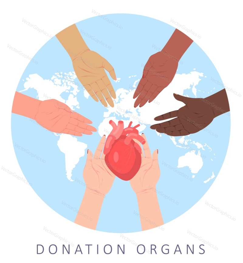 World organ donation day vector poster. Human hand offering heart to spreading arms over earth map flat design. Transplantation and surgery concept. Saving lives and health care Illustration