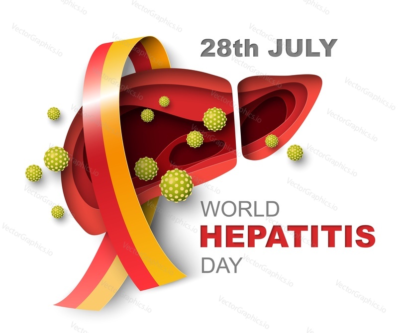 World hepatitis day vector. 3d paper cut hepatic liver suffering from virus attack illustration. Global awareness. Human disease medical prevention and therapy concept. Medicine and healthcare