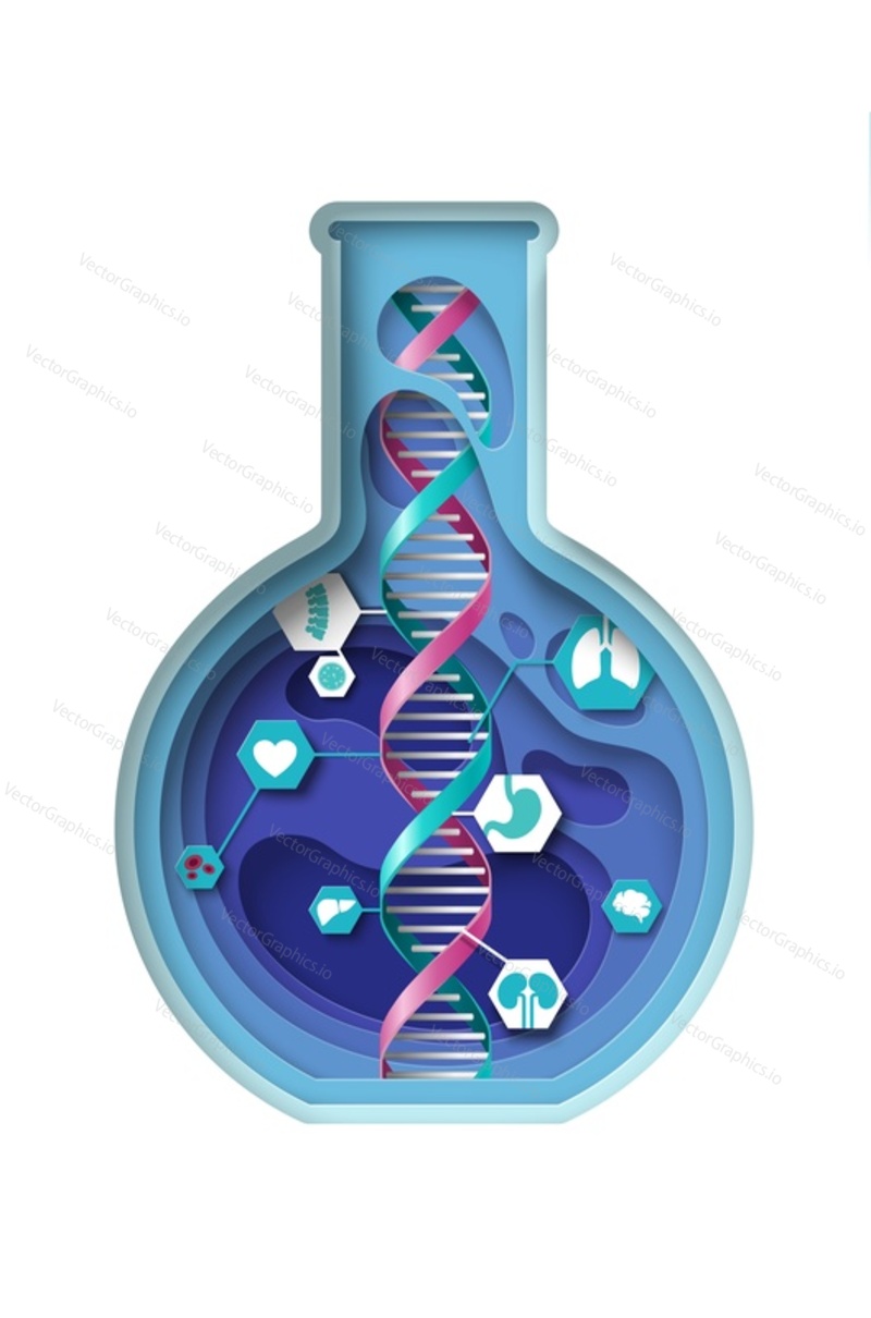 Научный вектор генной инженерии. Молекула днк в лабораторной колбе, выделенная на белом фоне. Спиральная клетка, человеческий орган в стеклянной посуде. Биохимия, микробиология и инновации
