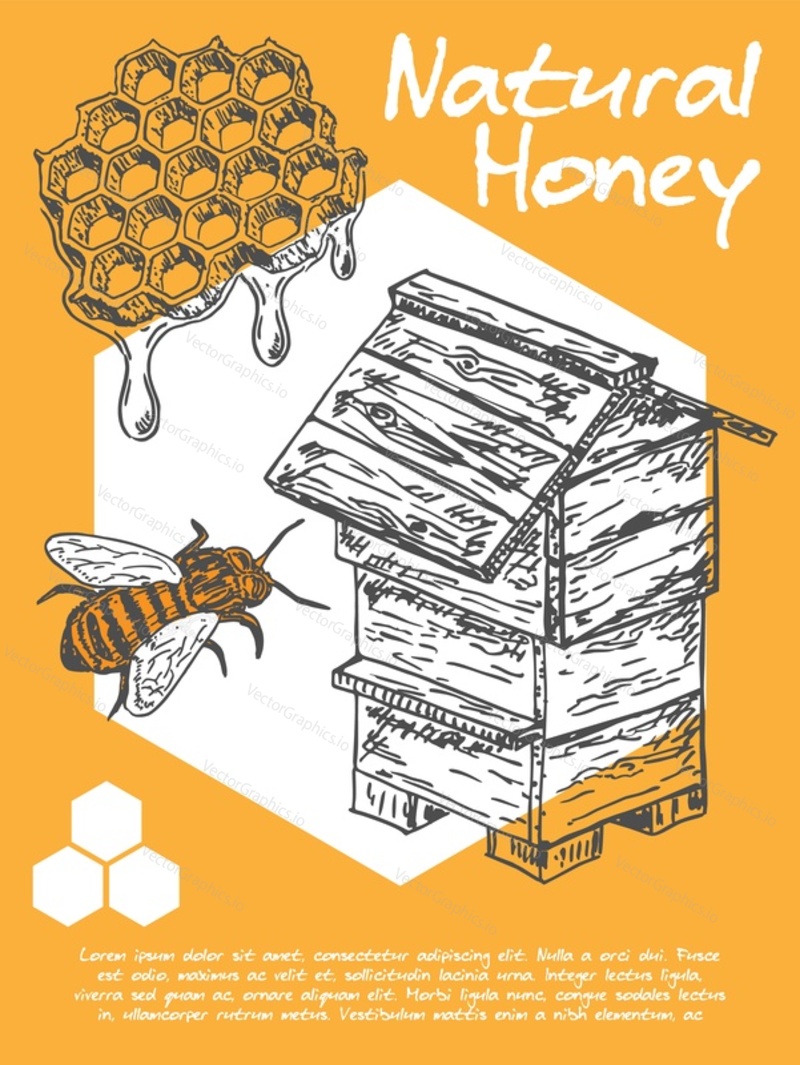 Векторная иллюстрация медоносной пчелы. Дизайн баннера для пищевой этикетки. Фон с пчелиными сотами, ульем и летающим насекомым. Винтажный плакат с органическим натуральным продуктом, рекламный шаблон для упаковки продуктов питания