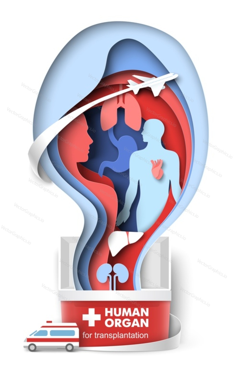 Human organ for transplantation 3d vector poster. Donation and charity medical banner. Worldwide national day of transplantology, saving lives and health care illustration