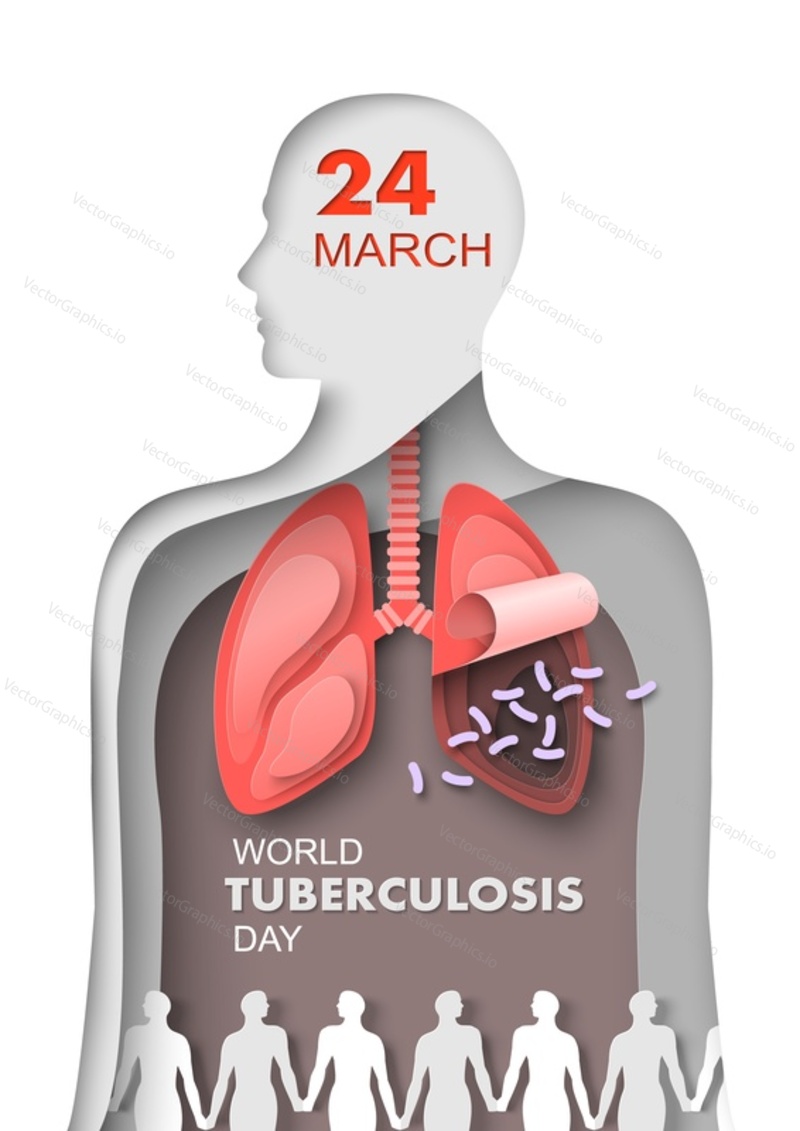 Векторный дизайн, вырезанный из 3d-бумаги во Всемирный день борьбы с туберкулезом. Иллюстрация осведомленности о респираторных заболеваниях. Медицинский плакат по пульмонологии, медицине и здравоохранению