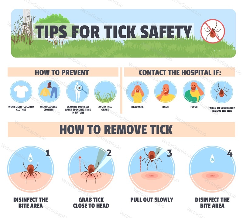 Tips for tick safety vector