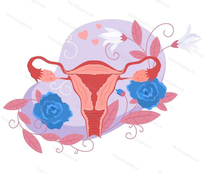 Beautiful anatomical female uterus reproductive organ with flower vector illustration. Feminine gynecology and hygiene concept