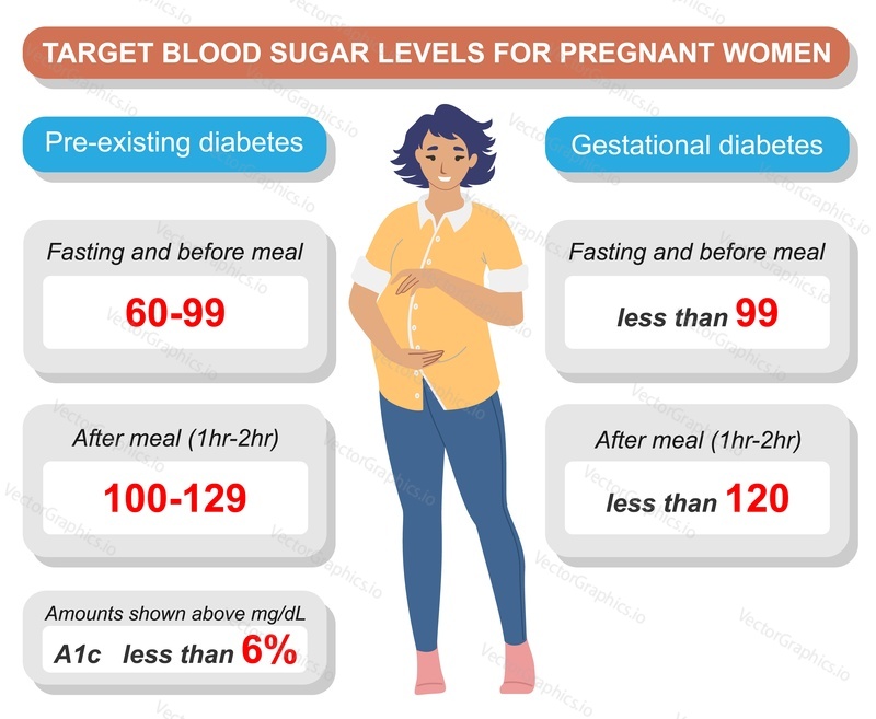 Target blood sugar level for pregnant woman vector. Different glucose normal balance during pregnancy in different time