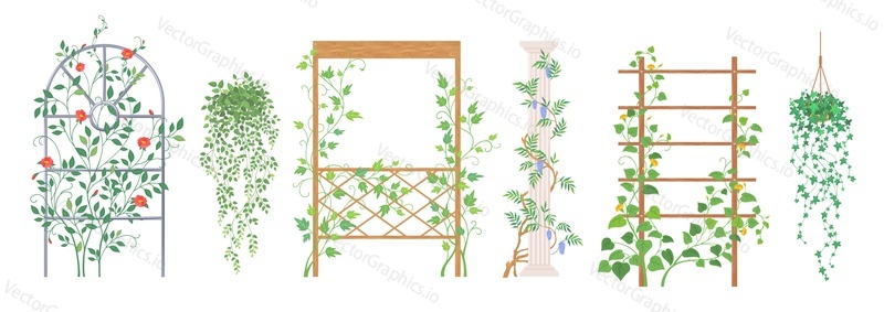 Рамка для векторных вьющихся растений и подставка для лиан. Декоративные элементы из зеленой лианы и плюща выделяются на белом фоне. Мультяшная иллюстрация дома и сада в джунглях