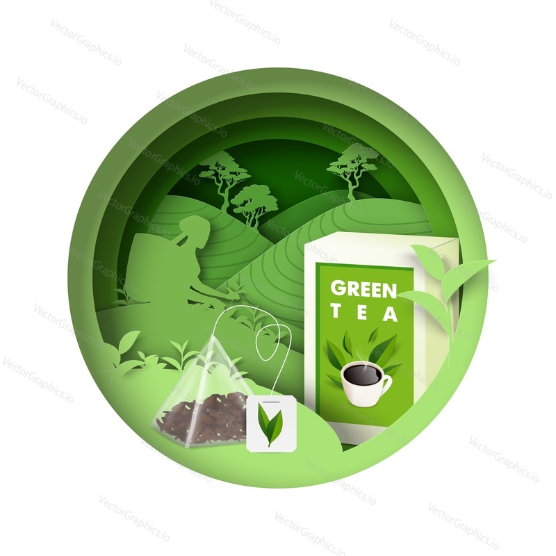 Green tea advertising vector icon brand design. Paper cut illustration with package box and sachet, woman silhouette gathering herbals crop