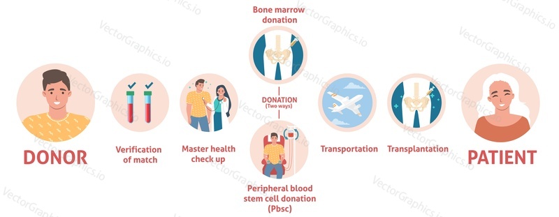 Bone marrow donation and transplantation. Blood stem cell donate after verification wit patient health indicator. Medical poster infographic