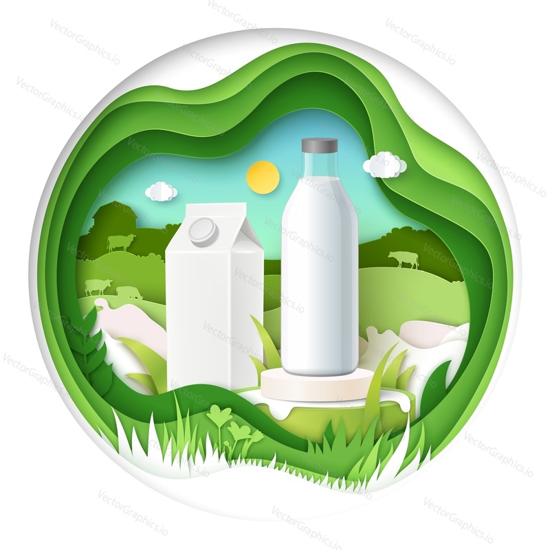 Картонная упаковка для упаковки молока и макет бутылки, выставленный на подиуме, поля, вырезанные из бумаги, коровы, брызги молока, векторная иллюстрация. Шаблон рекламы полезных молочных продуктов.