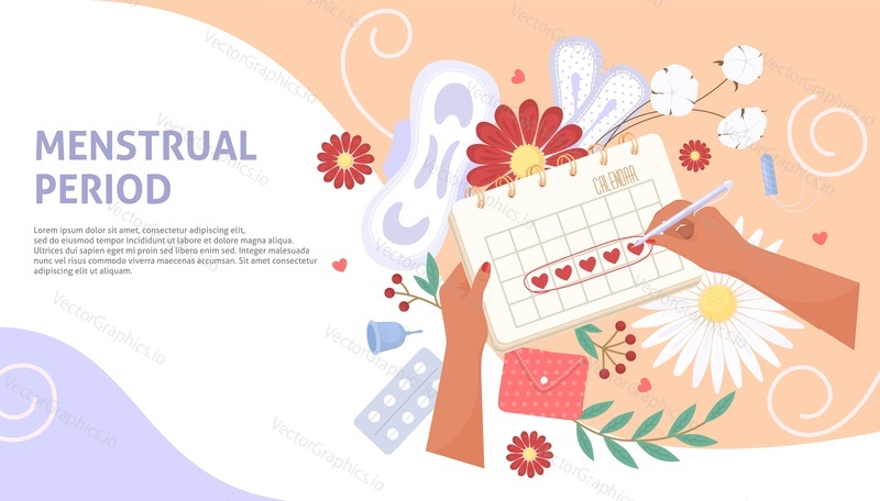 Menstrual period vector. Menstruation cycle calendar schedule poster. Woman health, pms and monthly bleeding