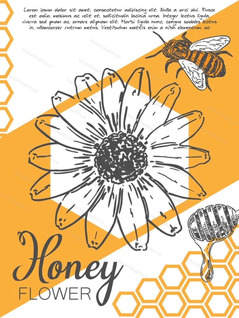 Vector promo card design for honey farm. Advertisement design with bee flower. Sweet dessert production promotion. Marketing material for natural product sale