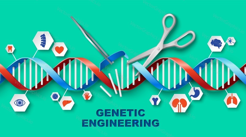 Векторный медицинский плакат генной инженерии с иллюстрацией дизайна гена ДНК человека. Биология и биотехнология. Исследование и модификация генома. Ножницы, перерезающие наследственные генные связи