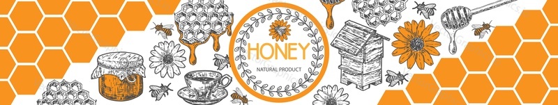 Honey vector banner. Natural products advertisement, web page, cover. Bee on flower, glass jar and honey combs, beehive illustration