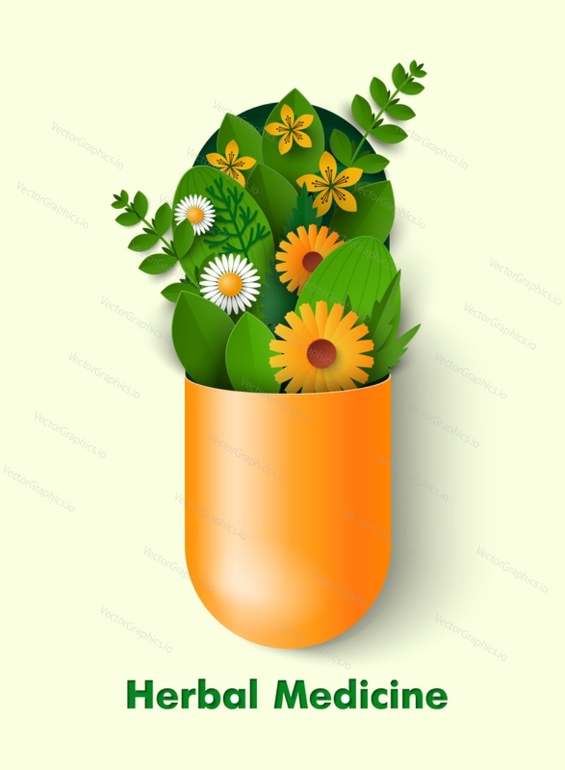 Векторный логотип фитотерапии в стиле вырезки из бумаги. Концепция гомеопатии и аюрведы. Капсульная таблетка с растениями и цветочной иллюстрацией. Альтернативная медикаментозная терапия