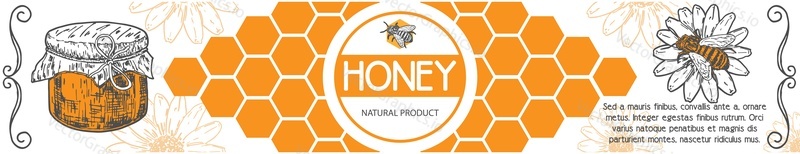 Медовый баннер. Реклама здорового органического пищевого продукта. Дизайн иллюстрации пчелы на цветке, стеклянной банке и медовых сотах. Реклама пчеловодческой фермы и производства сладкого сиропа