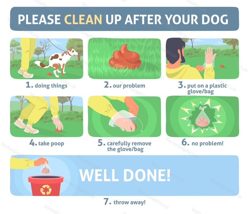 Clean up dog poop vector infographic set. How to pick animal waste from park lawn in canine bag step-by-step instruction. Poster for pet owner