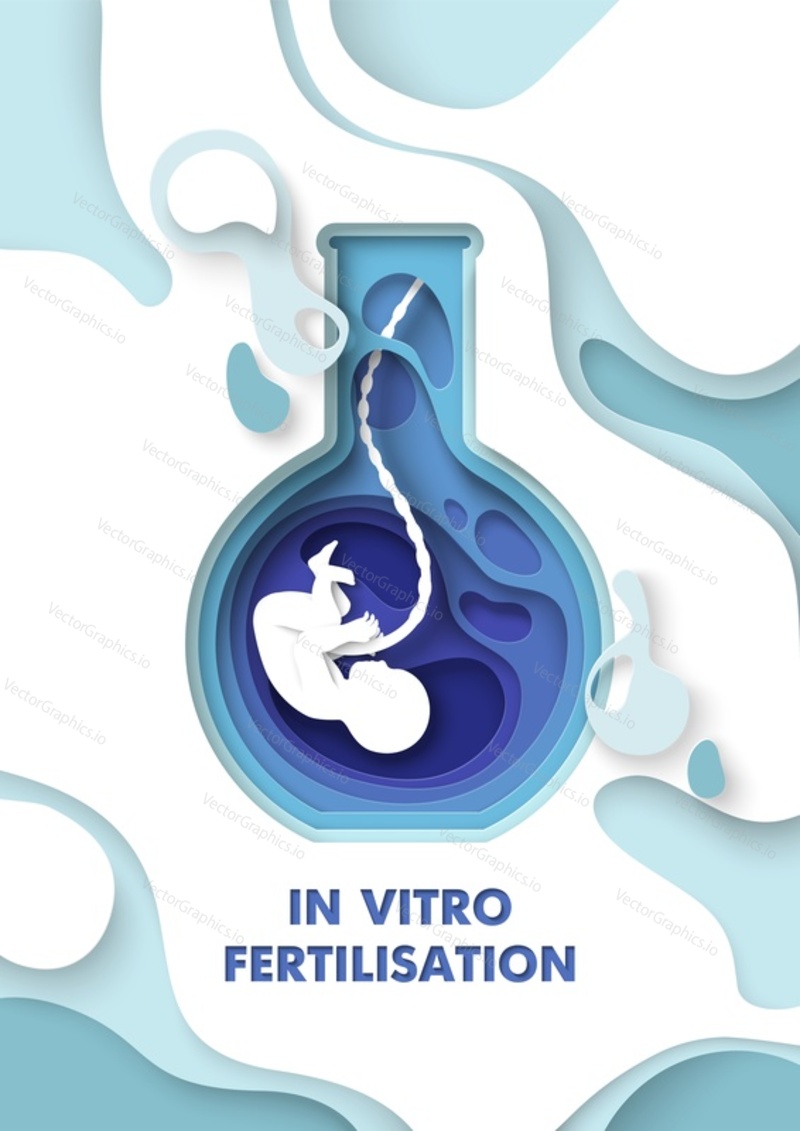 In vitro fertilization medical poster. Vector flask test tube with baby fetus illustration in papercut style. Human reproduction or artificial insemination, gynecology and obstetrics concept