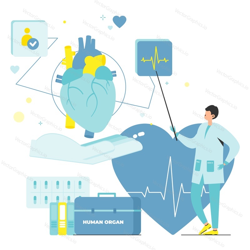 Human organ for transplant check vector poster. Clinic doctor analyzing heartbeat and pulse before transplantation. Medicine and transplantology concept