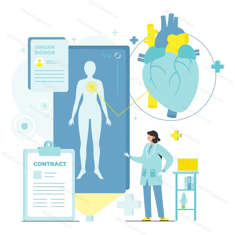 Human organ transplantation. Donor contract vector. Doctor analyzing patient card and disease history. Charity and donation for saving lives concept