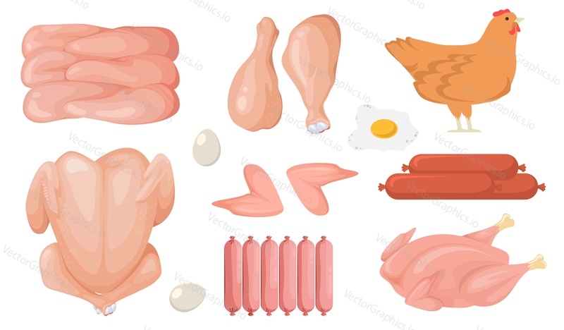 Cartoon chicken fresh raw meat vector set. Variety of uncooked poultry organic food for barbecue illustration. Whole hen, fillet, wings, sausages, eggs, drumstick isolated on white background