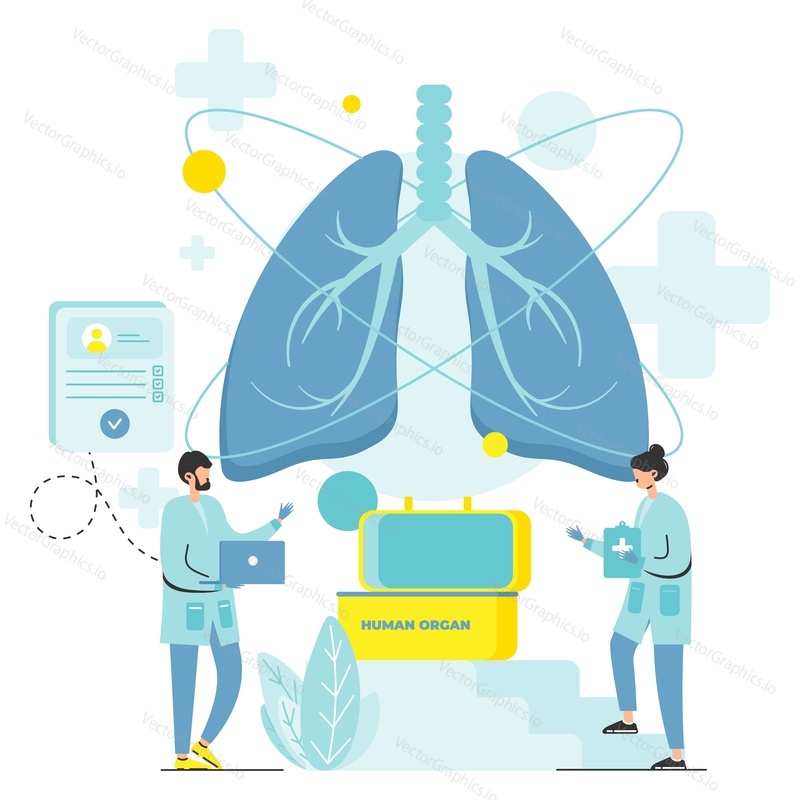 Human organ donor vector. Lung transplant donation. Medical infographic. Doctor and nurse examining patient card. Medicine and transplantology concept