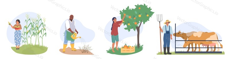Набор векторных сцен фермерской жизни. Работник сада или сельского хозяйства, собирающий фрукты, выращивающий кукурузу, поливающий рассаду, работающий со скотом на скотном дворе иллюстрация