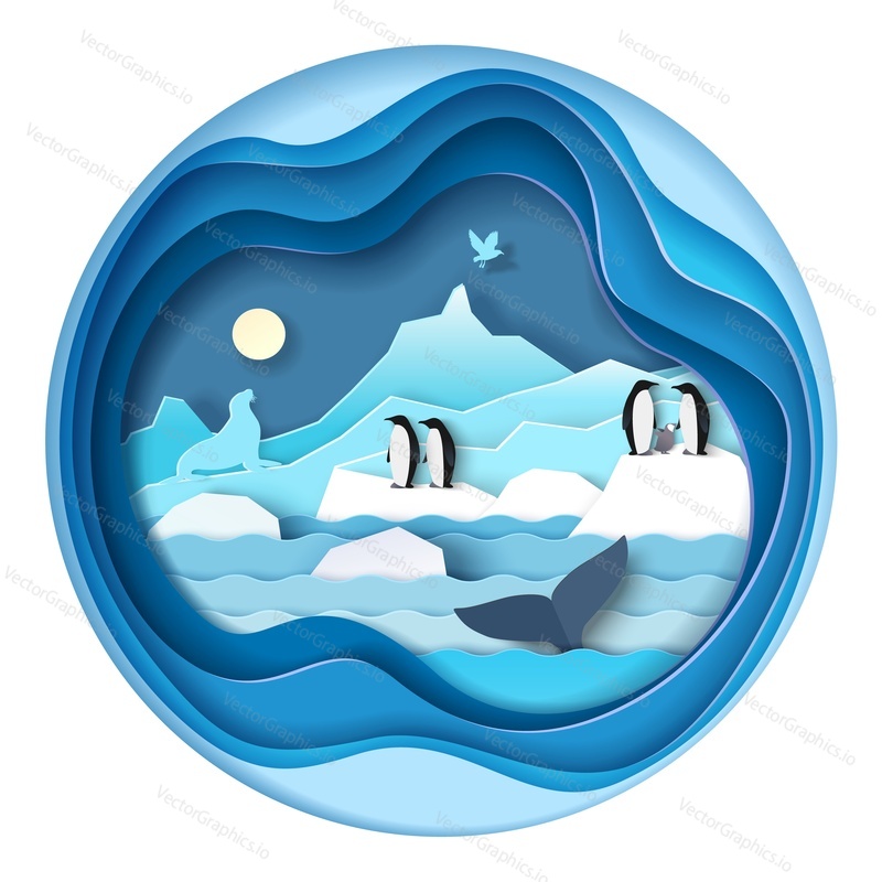 North penguin on ice in antarctica vector. Iceberg glacier with wild animal in paper cut 3d craft art banner. Travel expedition, science and environment concept