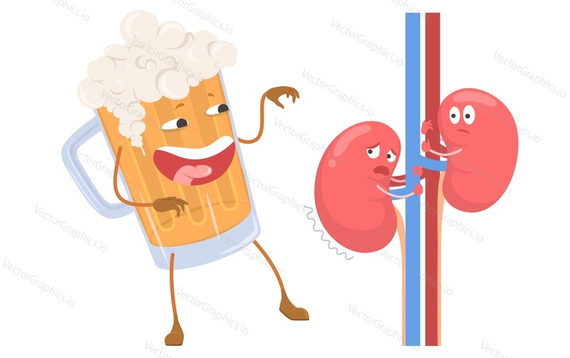 Kidney suffering from alcohol beer drink vector illustration. Human internal organ and bad habits influence on health. Unhealthy urinary system and alcoholic addiction concept