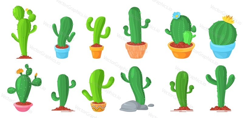 Cactus desert flower growing in pot and ground vector isolated set. Mexican cacti succulent plant on white background. Prickly garden decorative houseplant illustration