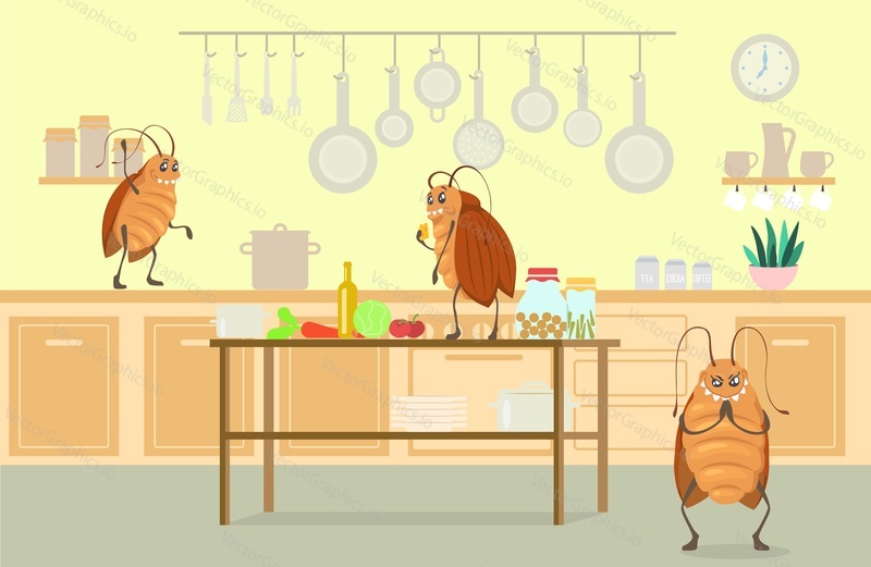 Cockroach in home kitchen vector. Funny cartoon bug pest dirty character having fun, eating human food leftovers illustration. Insect vermin living at people house indoor background