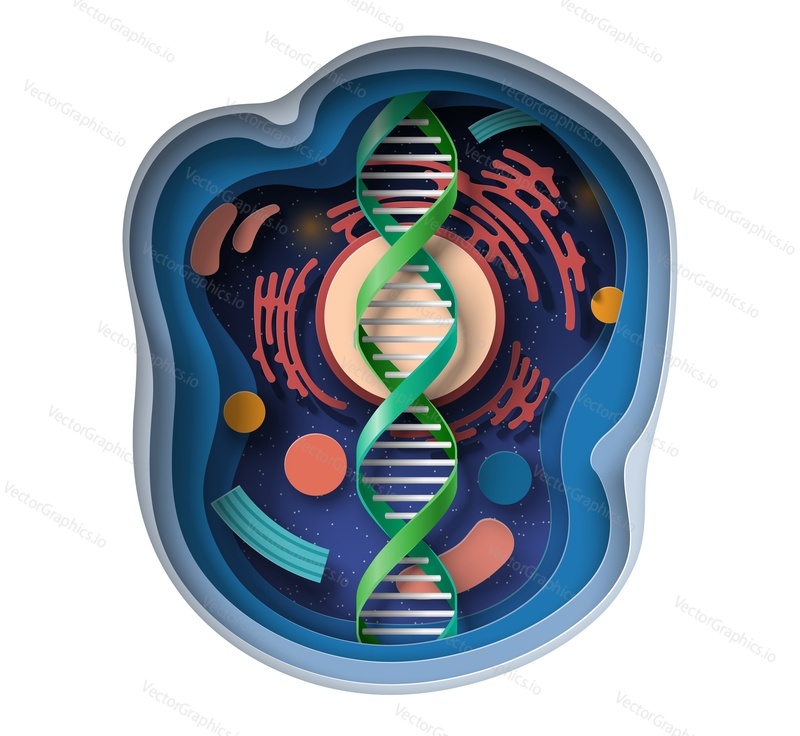 Векторный фон 3d-модели молекулы спирали днк. Абстрактная иконка в стиле вырезанного из бумаги искусства генной инженерии, эволюции и медицинской науки. Иллюстрация технологии медицины, биологии и химии