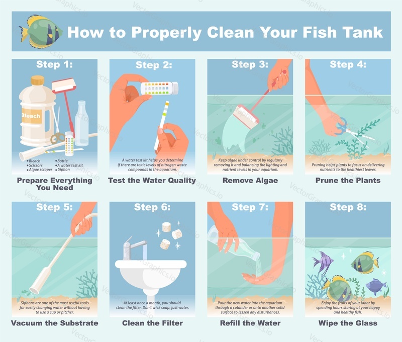 How properly clean fish tank step-by-step infographic. Aquarium cleaning care scheme vector illustration with detailed description