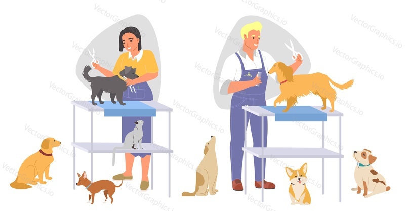 Grooming pet master caring dogs cutting fur with scissors vector illustration scene set. Professional salon service for domestic animals