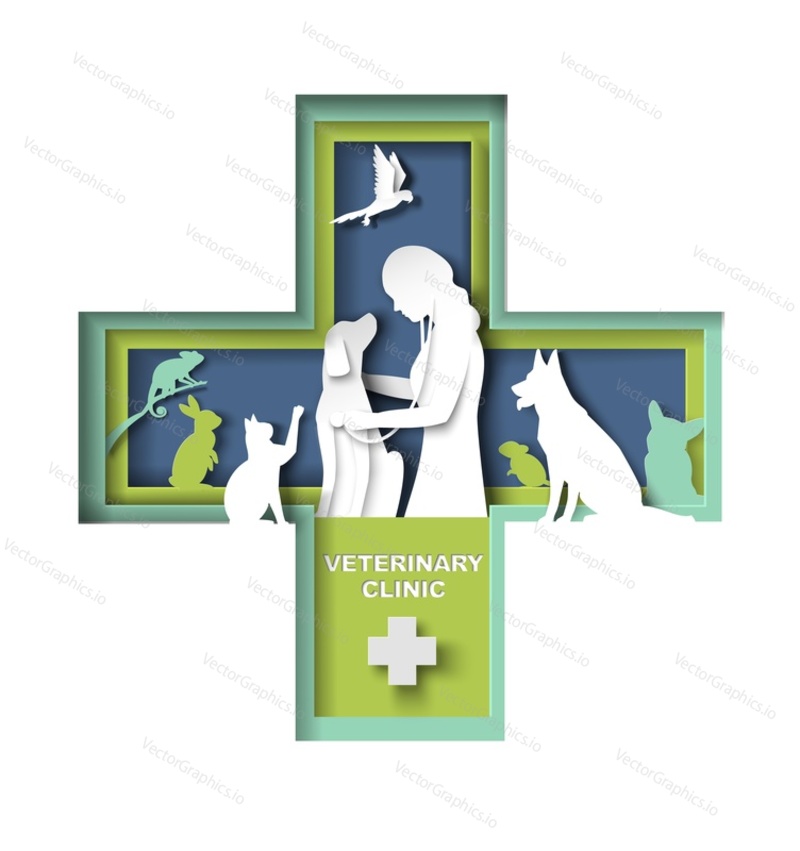 Veterinary clinic creative papercut design for advertising promotion poster. Female doctor providing healthcare service or medical center for domestic animals in cross shape frame vector illustration