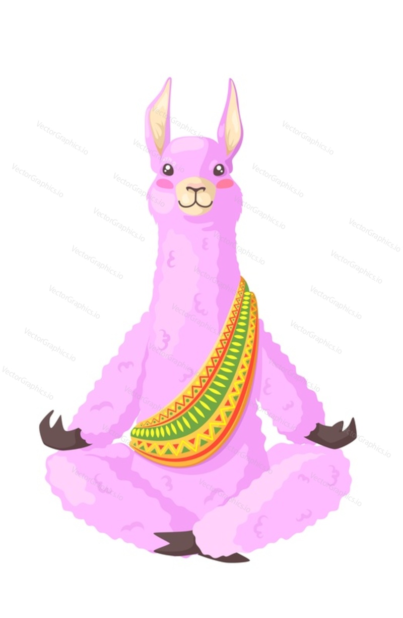 Cute cartoon lamas alpacas meditating in lotus yoga pose vector illustration isolated on white background. Meditation, mindfulness and stress relief concept