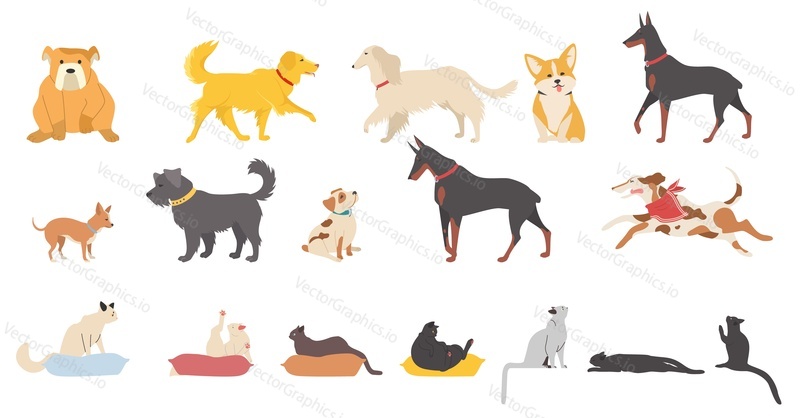 Pets vector. Cats and dogs set. Cute cartoon domestic animal character design isolated on white background. Puppy and kitten with different poses and emotions icon collection