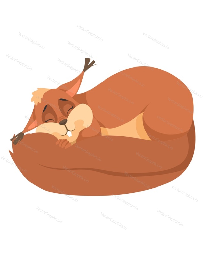 Cute sleeping squirrel flat cartoon vector isolated on white background. Funny forest animal rest illustration. Small rodent happing having sweet dreams icon