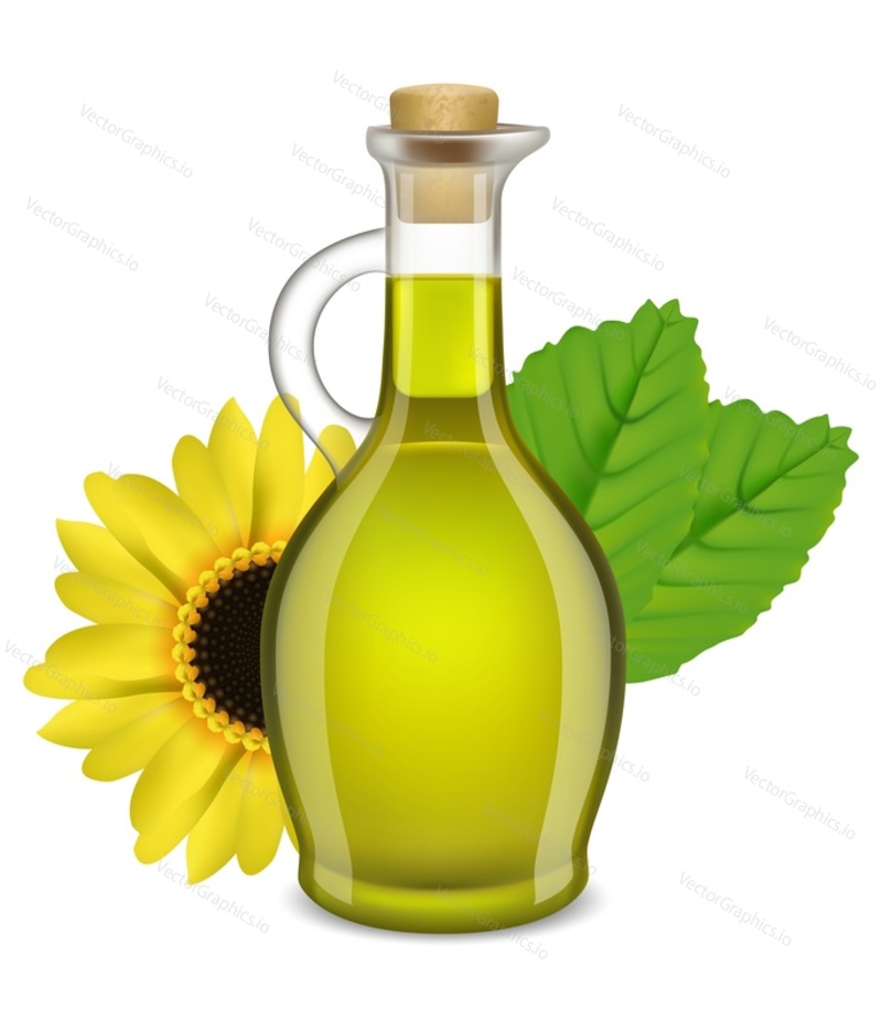 Sunflower oil glass jug with blossoms decoration vector illustration. Organic product, natural foodstuff food for culinary advertisement