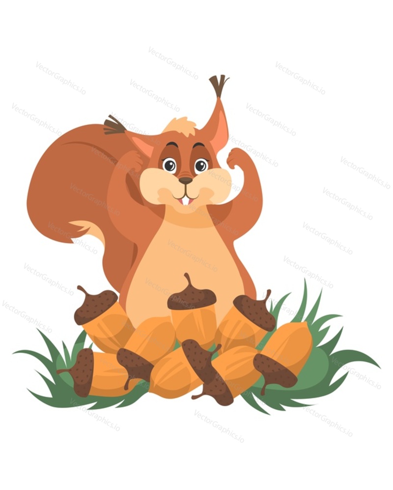 Cute squirrel harvesting acorns cartoon vector icon. Funny forest animal proud of big harvest of food prepared for winter illustration isolated on white background. Wild life concept