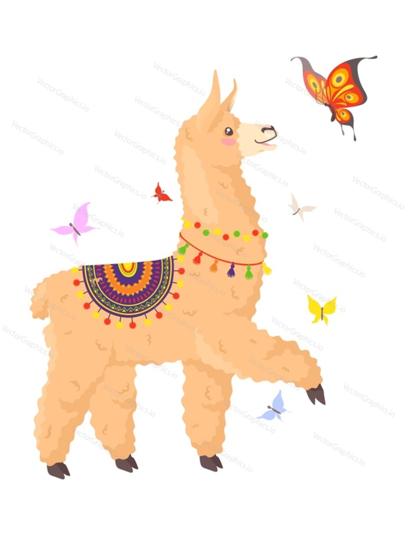 Lamas alpacas character and butterfly flat vector illustration. Cute farm baby animal wearing traditional clothes walking isolated on white background
