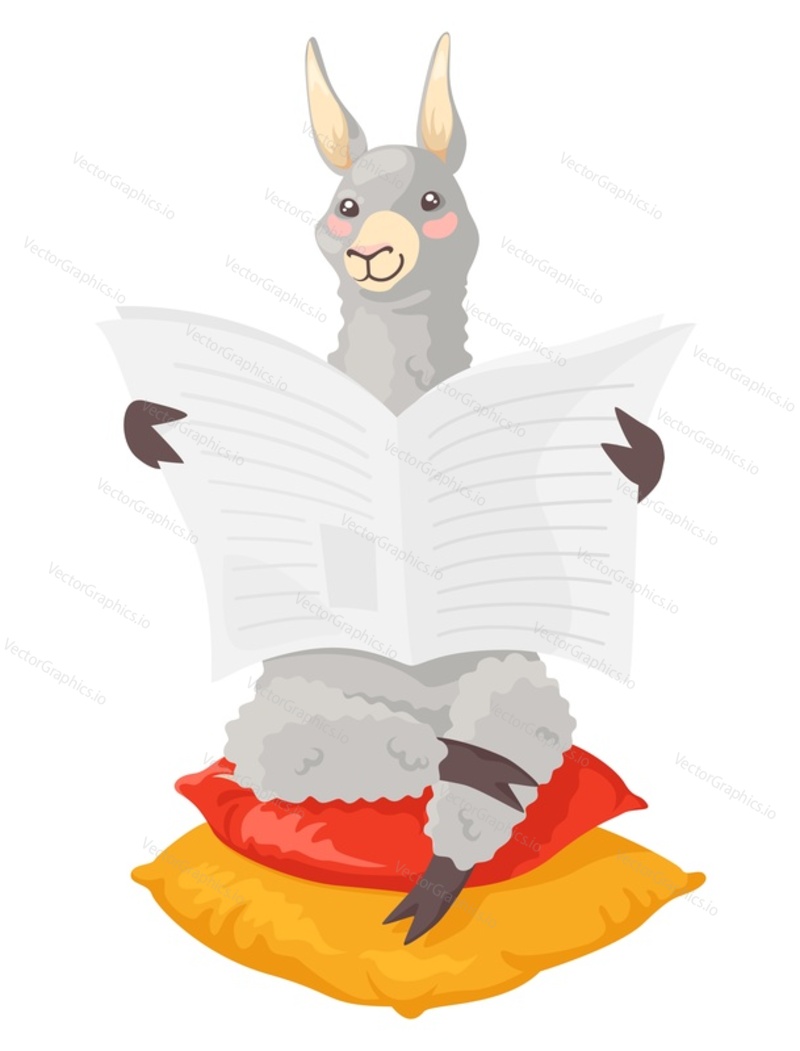 Cute lamas alpacas character reading newspaper flat cartoon vector illustration. Funny smart Mexican farm animal studying isolated on white background